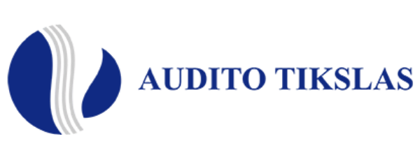 Audito tikslas